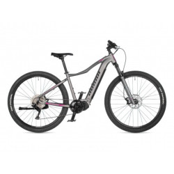 Auhtor Eleve 29" ASL