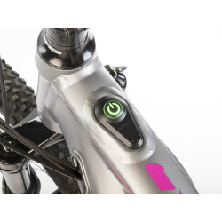 Auhtor Eleve 29" ASL