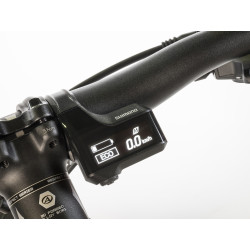 Auhtor Eleve 29" ASL