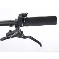 Auhtor Eleve 29" ASL