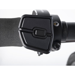 Auhtor Eleve 29" ASL