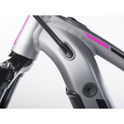 Auhtor Eleve 29" ASL