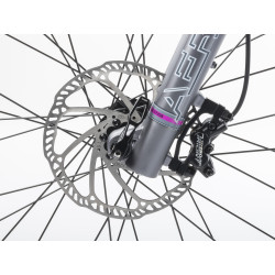 Auhtor Eleve 29" ASL