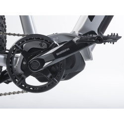 Auhtor Eleve 29" ASL