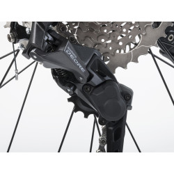 Auhtor Eleve 29" ASL