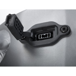 Auhtor Eleve 29" ASL