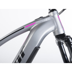 Auhtor Eleve 29" ASL